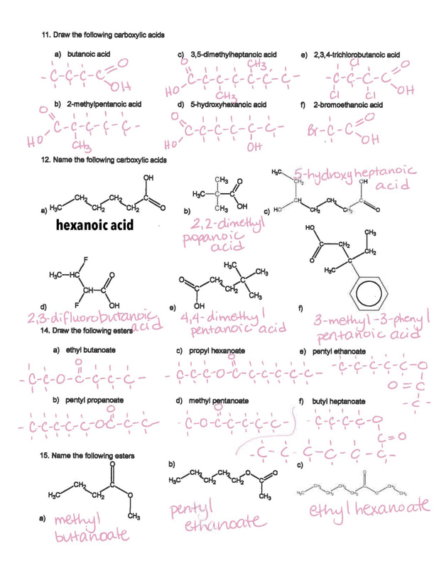 functional-groups-worksheet-ms-mclarty-s-classes
