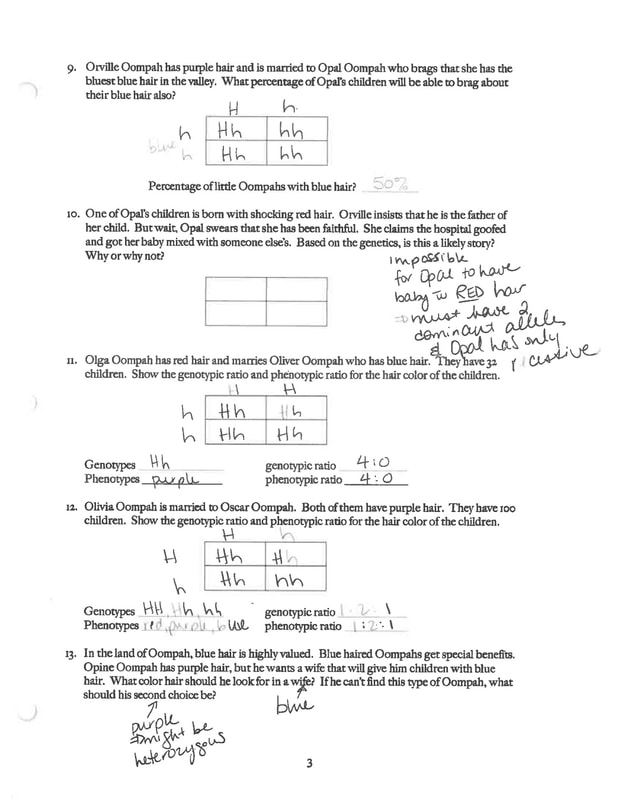Incomplete And Codominance Review Worksheet Oompahs Answer Key